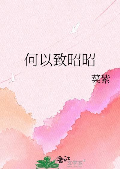 何以致昭昭完整版