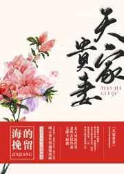 天家贵妻作者海的挽留