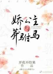 娇公主与莽驸马正版圆房