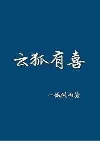 云狐信息技术有限公司