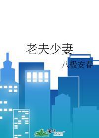 老夫少妻古言