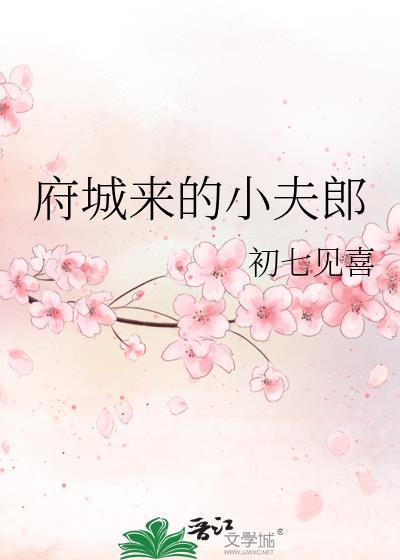 府城来的小夫郎txt