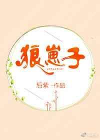 狼崽子后续剧情