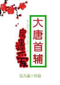 大唐房遗爱TXT