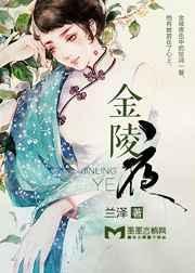 金陵夜归人电视剧