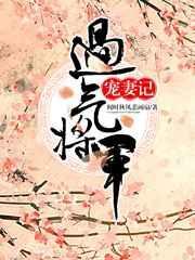 过气将军宠妻记 何时秋风悲画扇
