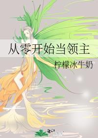 从零开始当领主 柠檬冰牛奶
