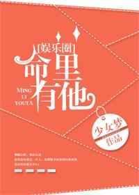 命里有他(娱乐圈)