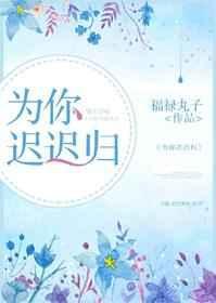 为你迟迟归百度