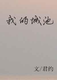 我的城池全本番外txt