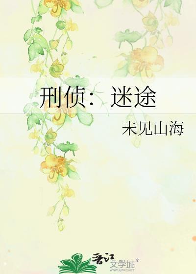 刑侦迷途百度