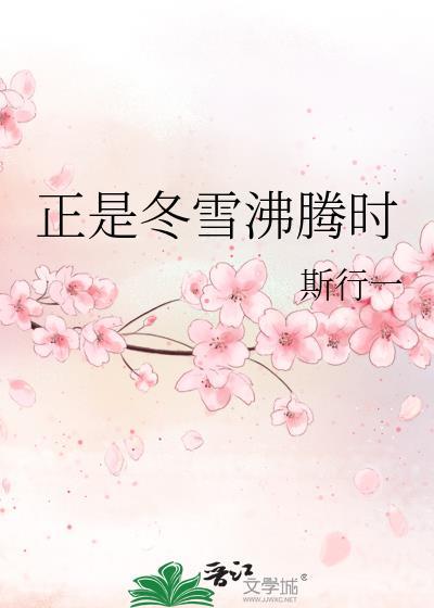 正是冬雪沸腾时讲的是什么
