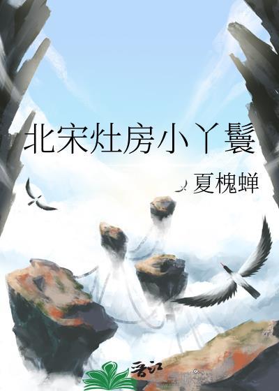 北宋灶房小丫鬟百度
