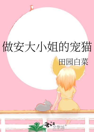 安大小姐歌曲