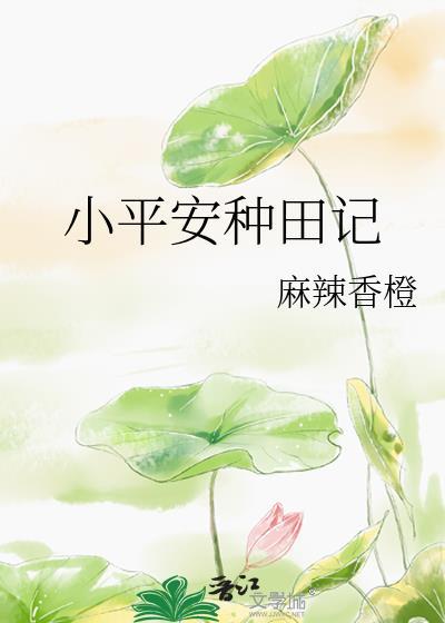 小平安种田记完整版