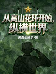 从高山花环开始纵横世界TXT