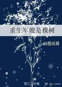 重生军嫂唐如宝免费阅读