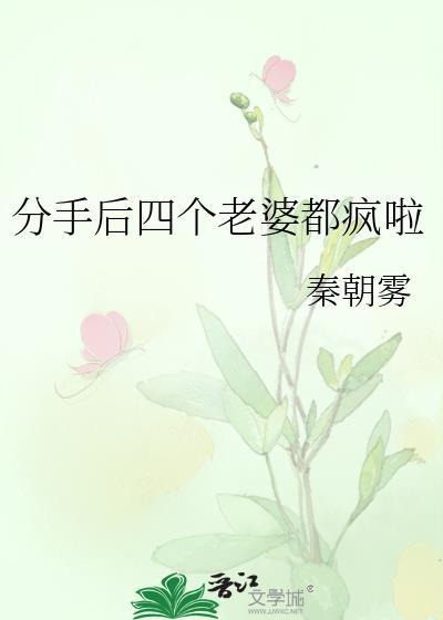 分手后四个老婆都疯啦TXT百度