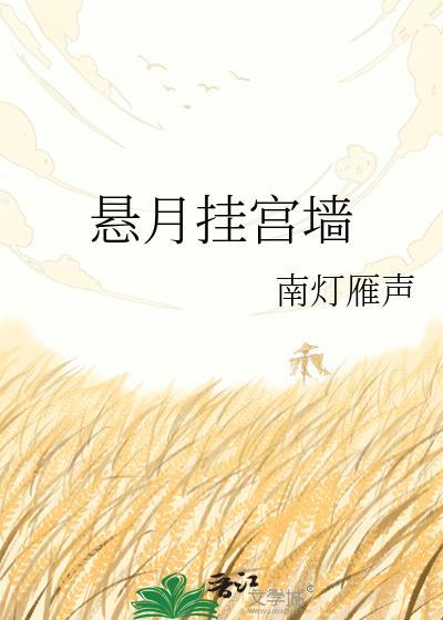 悬月挂宫墙TXT百度
