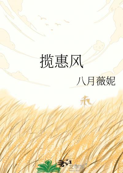揽惠风全文TXT资源