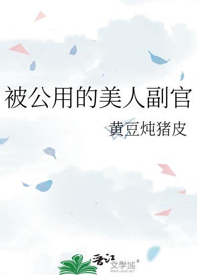 公用的美人副官 黄豆炖猪皮讲什么
