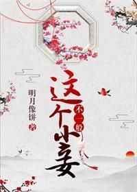 这个小妾不一般明月像饼