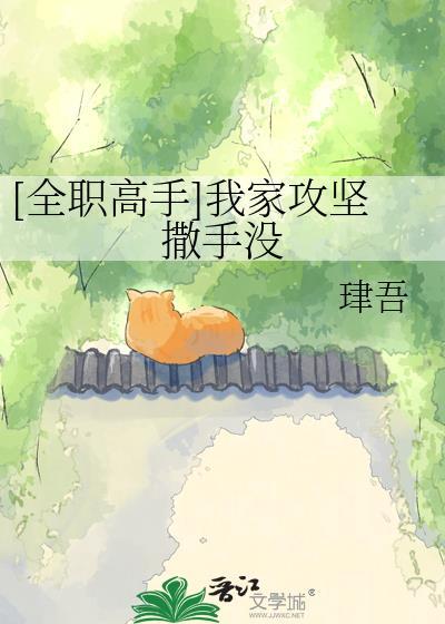 全职高手攻坚手是什么