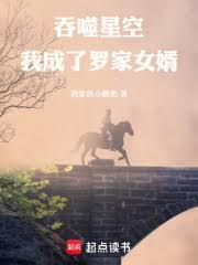 吞噬星空我成了罗家女婿