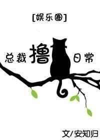 总裁猫咪