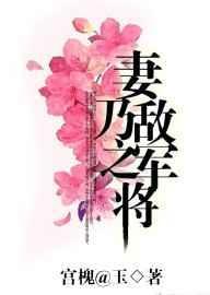妻乃敌军之将by剧透