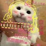 综英美吉祥物txt