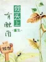 头上有触角的动物是什么