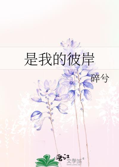 是我的彼岸在线阅读