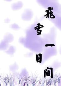 飞雪1