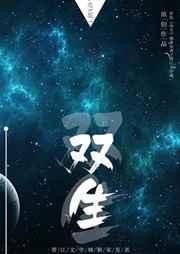 双生夹心局