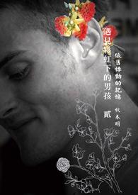 遇见彩虹心情经典句子