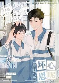 田园犬的性格