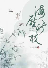 风吹山角晦还明意思全诗