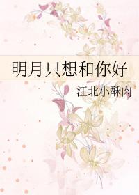 想明月是什么意思