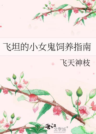 飞坦同人文女主小白