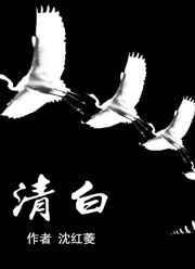 清白之恋视频现场版在线观看
