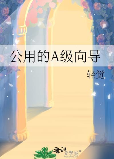 ABCDS级向导