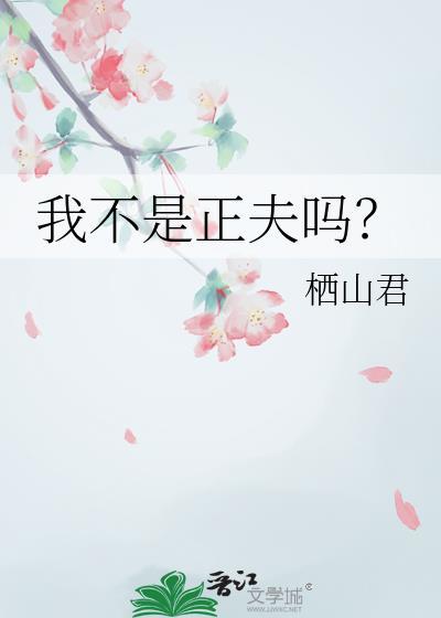 我不是正经冒险者篱笆好文学
