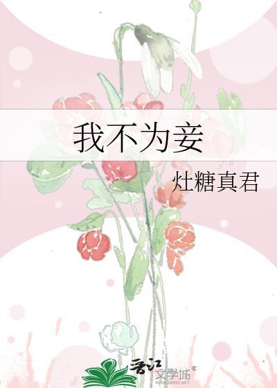 我不为妾灶堂真君