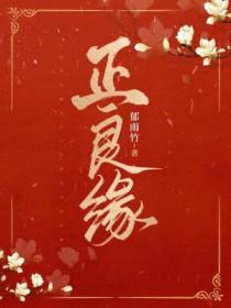 正良缘郁雨竹TXT完本