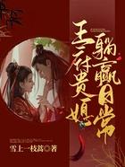 王府小媳妇讲的是什么