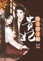 贵妃又又又被告