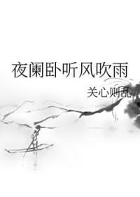 夜阑卧听风吹雨txt