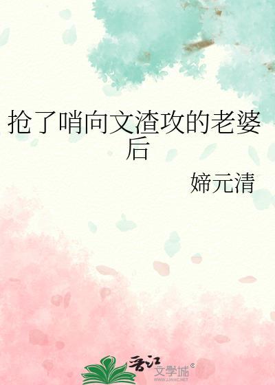 抢了哨向文里渣攻老婆后
