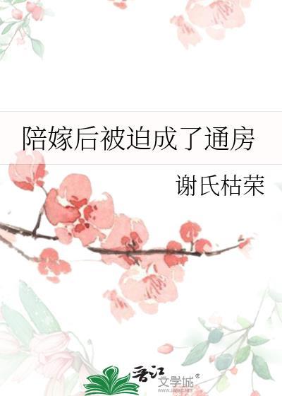 陪嫁1v3